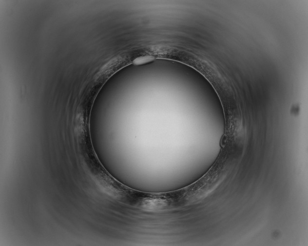 X0000098170220200804241203