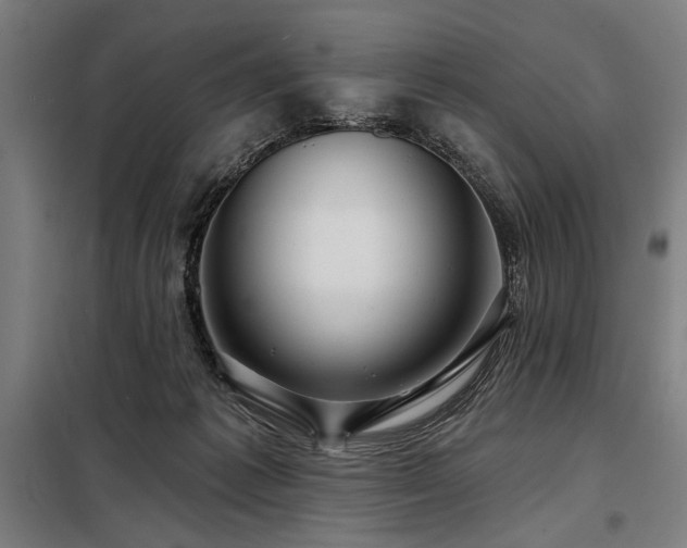 X0000098170221200804241203