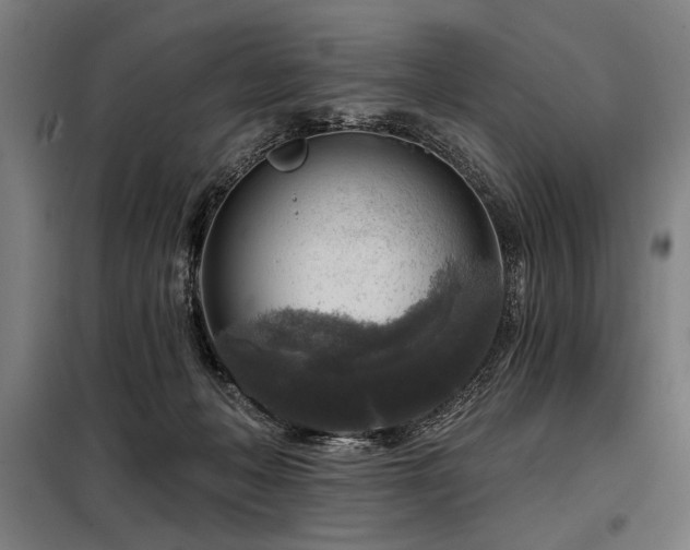 X0000098170222200804241203