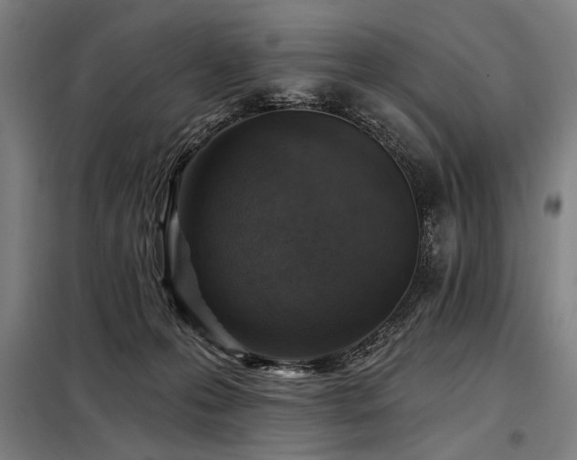 X0000098170223200804241203