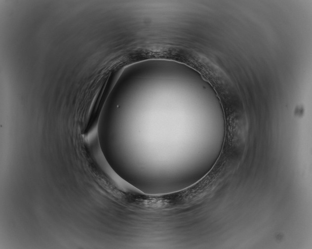 X0000098170225200804241203