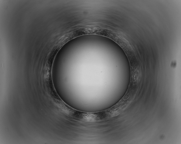 X0000098170226200804241203