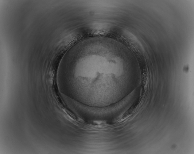 X0000098170227200804241203