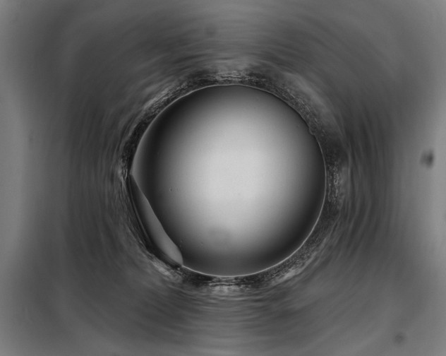 X0000098170228200804241203