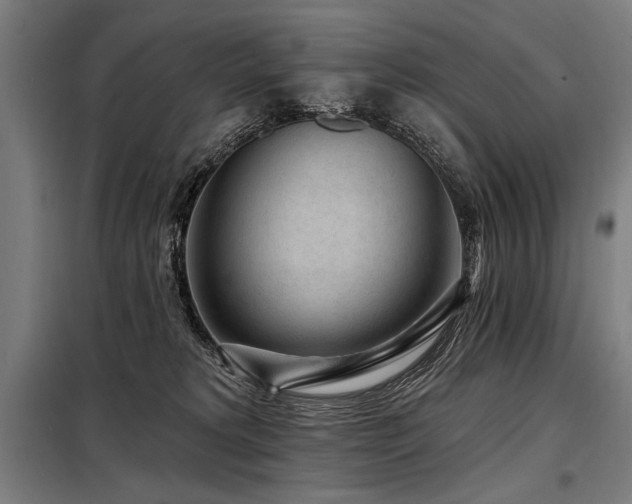 X0000098170229200804241203