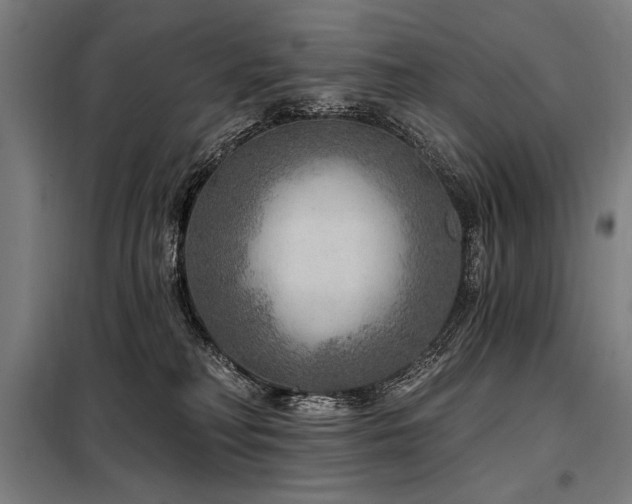 X0000098170230200804241203