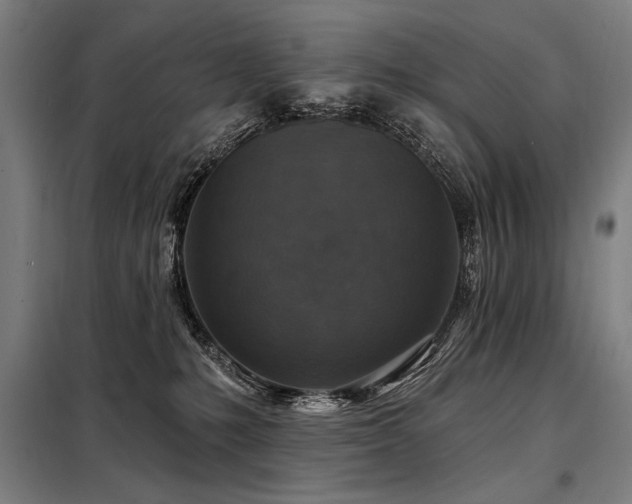 X0000098170231200804241203