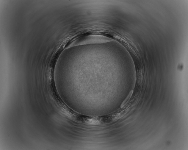 X0000098170232200804241203