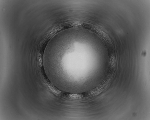 X0000098170234200804241203