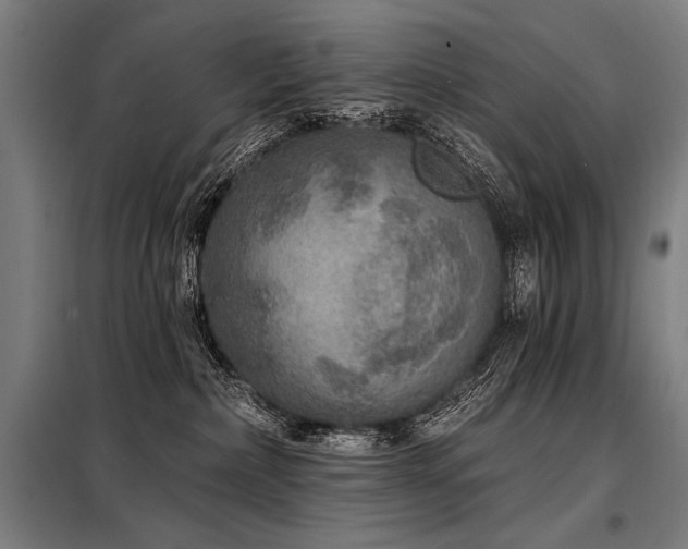 X0000098170236200804241203