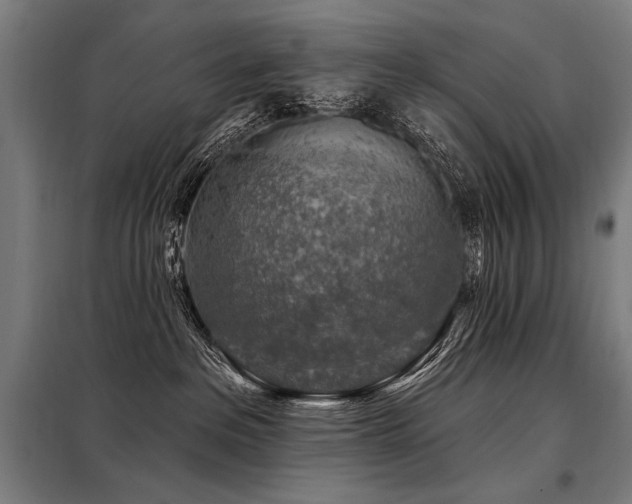 X0000098170237200804241203