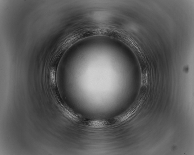 X0000098170238200804241203