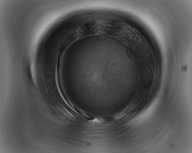 X0000098170239200804241203