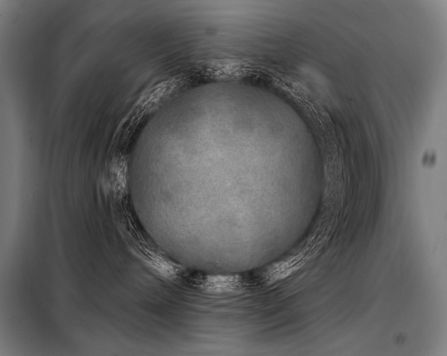 X0000098170240200804241203