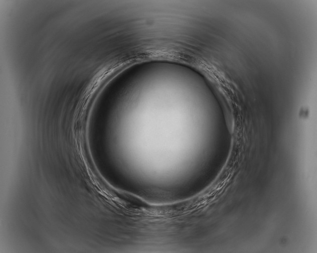 X0000098170241200804241202