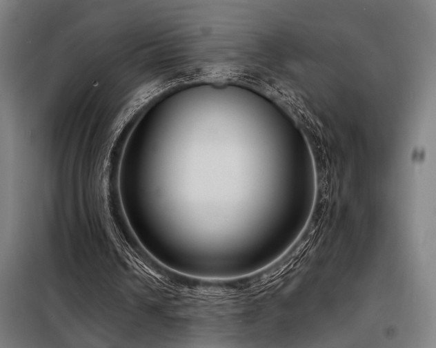 X0000098170242200804241202