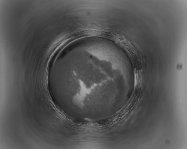 X0000098170243200804241202