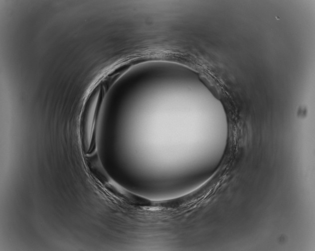 X0000098170244200804241202