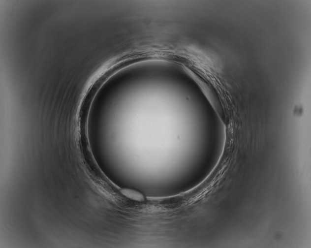 X0000098170246200804241202