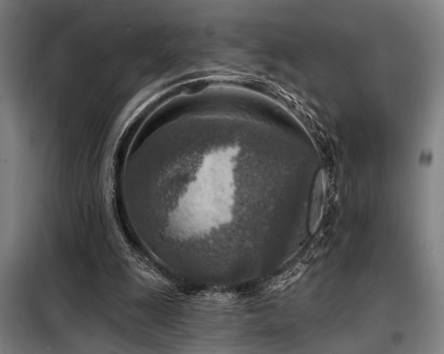 X0000098170247200804241202