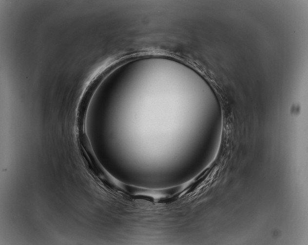 X0000098170248200804241202