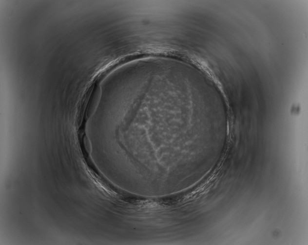 X0000098170249200804241202