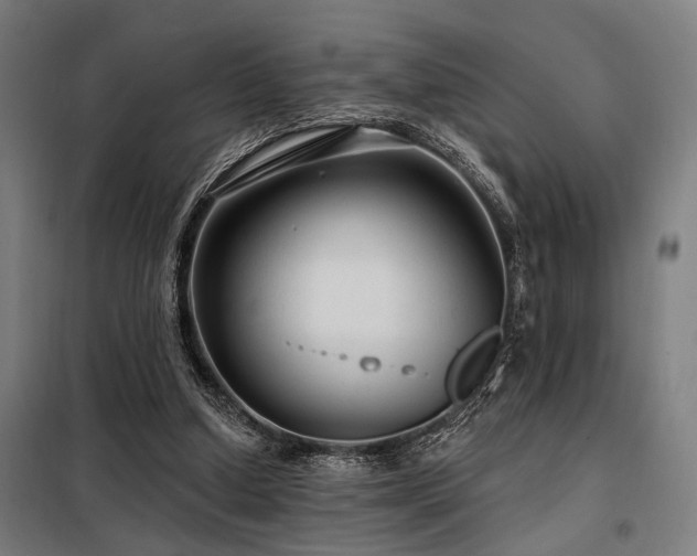 X0000098170250200804241202