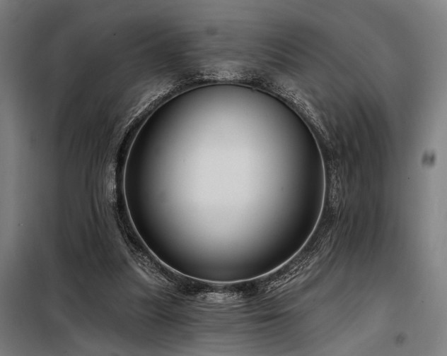 X0000098170251200804241202