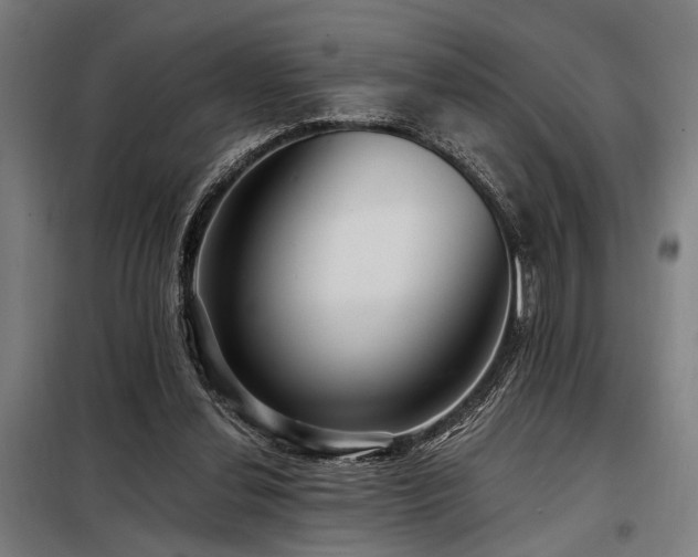 X0000098170252200804241202