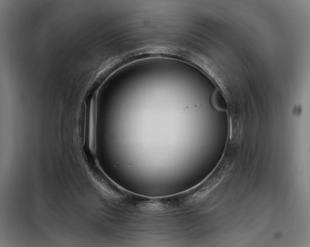 X0000098170253200804241202