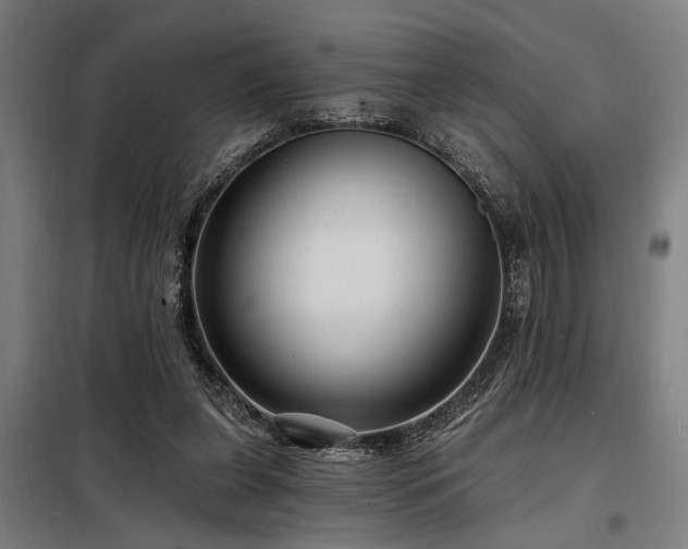 X0000098170255200804241202