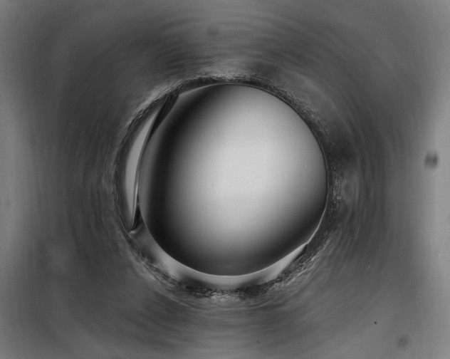 X0000098170256200804241202