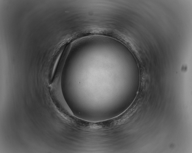 X0000098170257200804241202