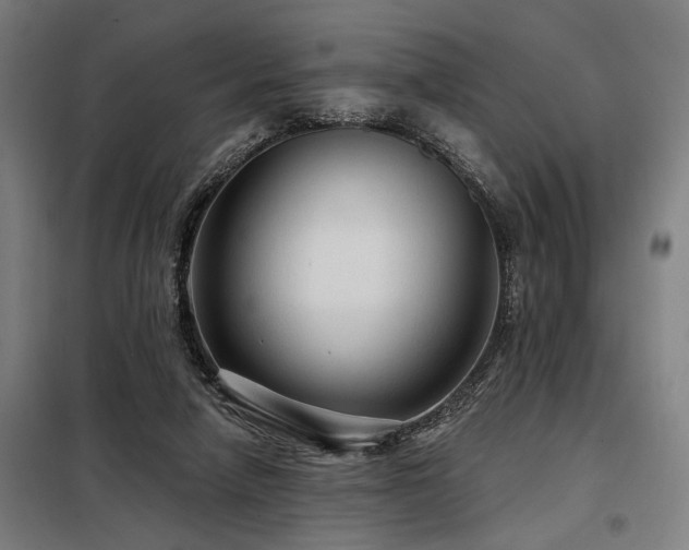 X0000098170258200804241202