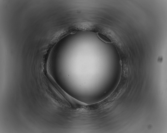 X0000098170259200804241202