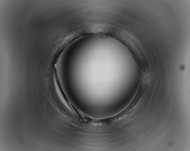 X0000098170260200804241202