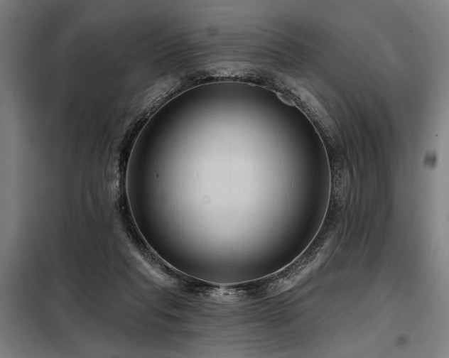 X0000098170261200804241202