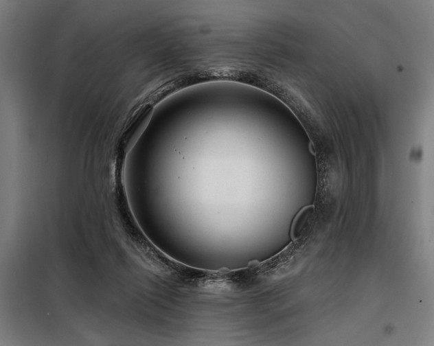 X0000098170262200804241202