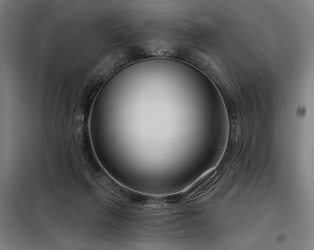 X0000098170263200804241202