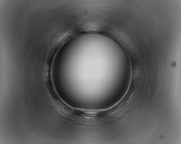 X0000098170264200804241202