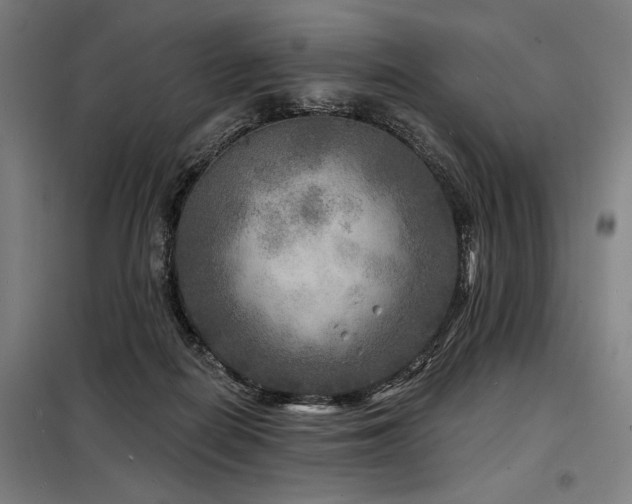 X0000098170266200804241202