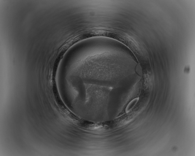 X0000098170267200804241202