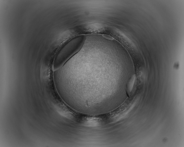 X0000098170268200804241202