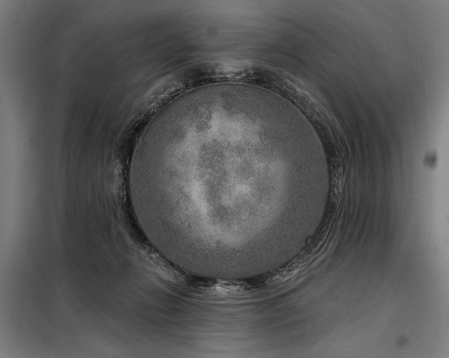 X0000098170270200804241202