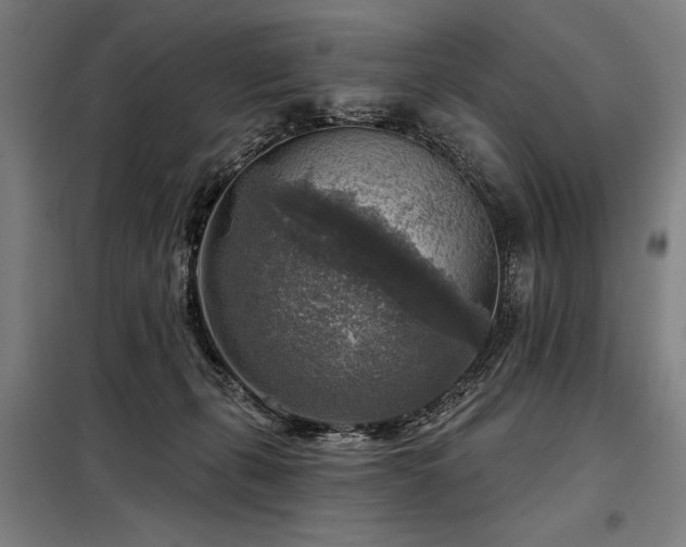 X0000098170271200804241202