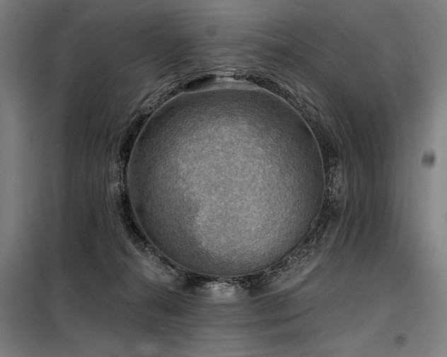 X0000098170272200804241202