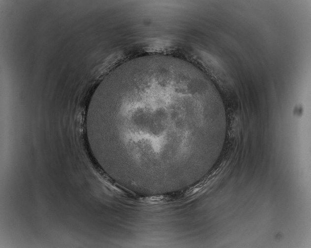 X0000098170273200804241202