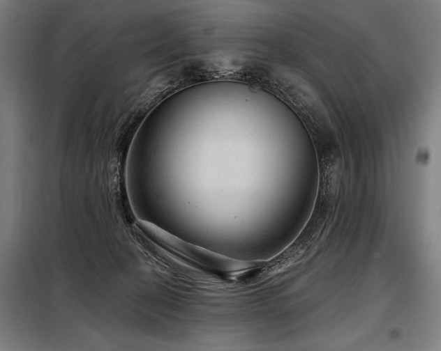 X0000098170274200804241202