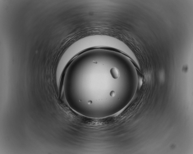 X0000098170276200804241202