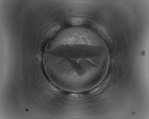 X0000098170277200804241202